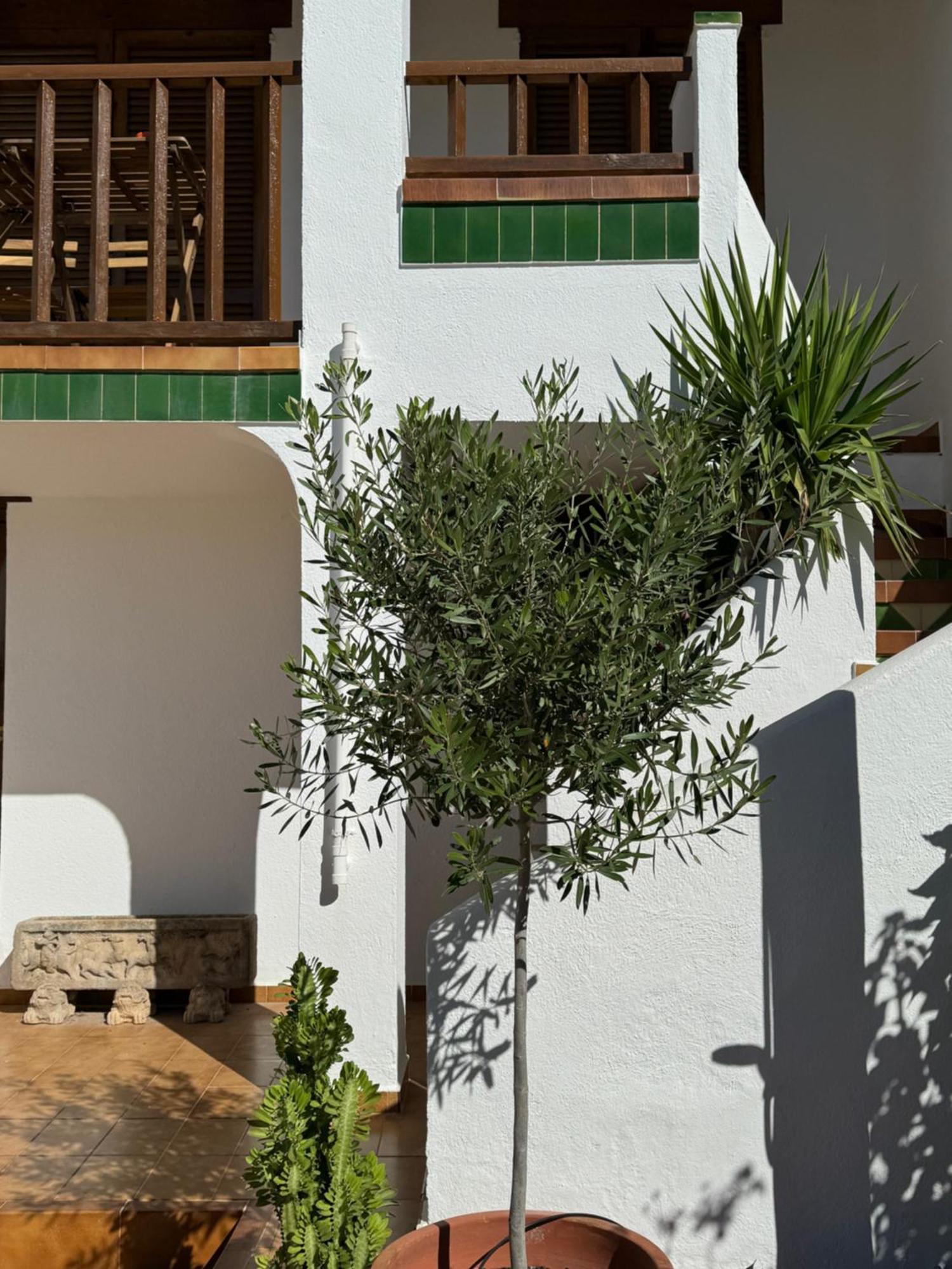 Espectacular Sunny House In The Beach クニット エクステリア 写真